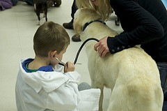 Boy in a lab coat examining a dog