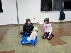 Girl training a dog while adult supervises